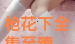 枪花在线手机免费观看,手机免费重温摇滚传奇