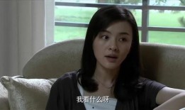 陈赫二姐爆料事件真相视频,揭秘陈赫事件背后惊人内幕