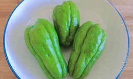 北京网红喜欢吃佛手瓜,佛手瓜美食风潮席卷京城